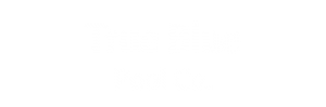 Design website for pool cleaning company